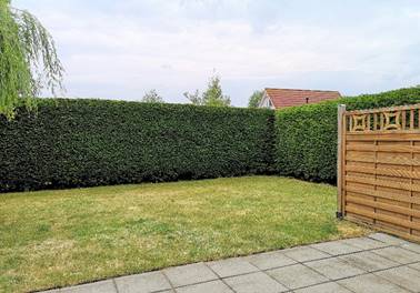 Seestern 1 – Garten / Terrasse