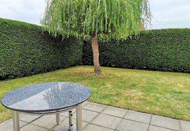 Seestern 1 – Garten / Terrasse